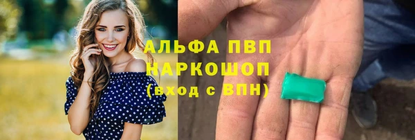 индика Алексин