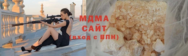 индика Алексин