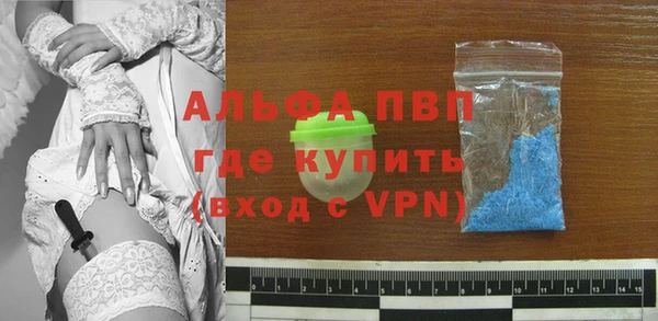 индика Алексин